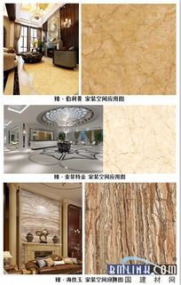 至臻稀世 法恩莎瓷砖 臻稀石 柔光砖系列荣耀上市